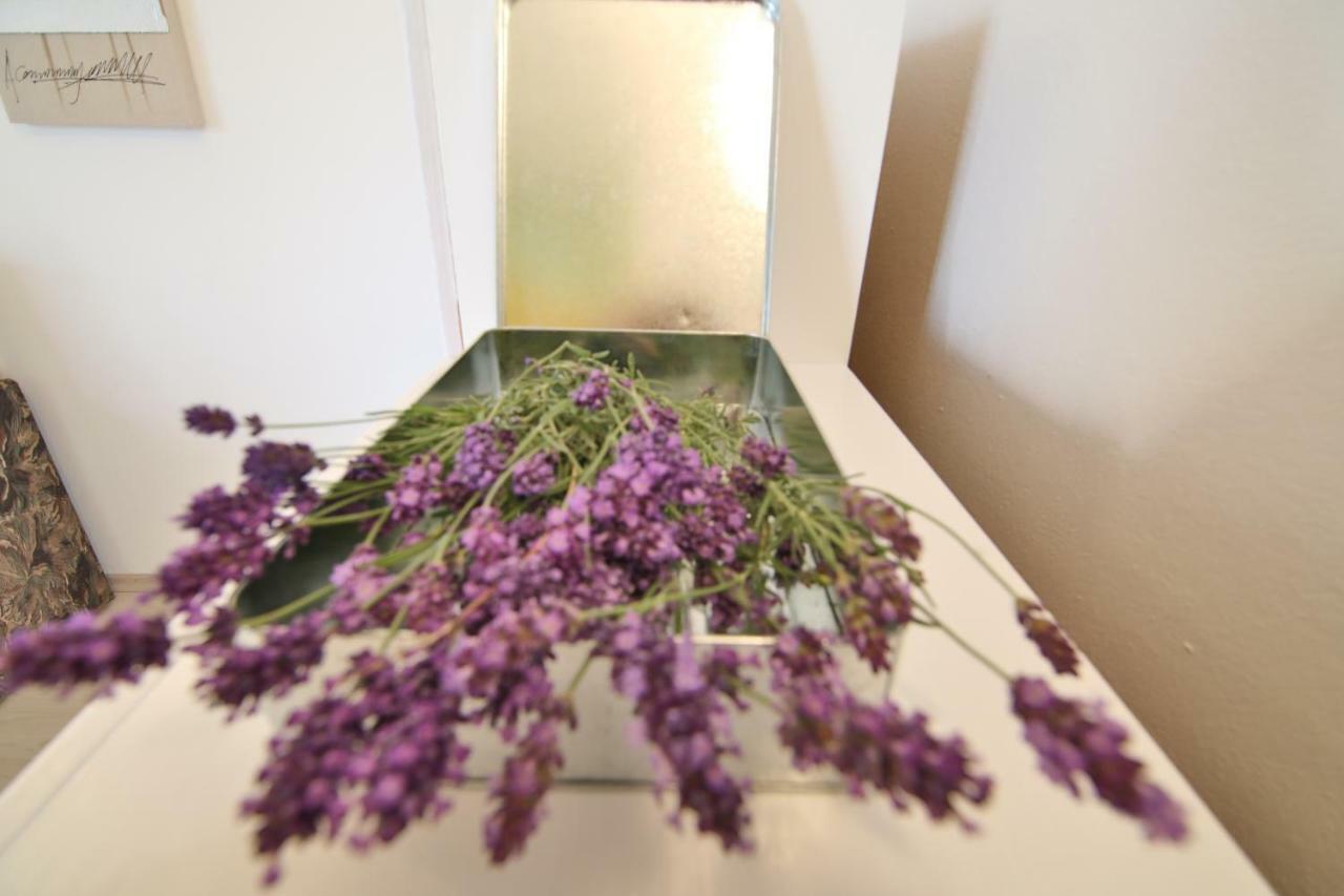 רוגוזניצה Apartment Rosemary מראה חיצוני תמונה